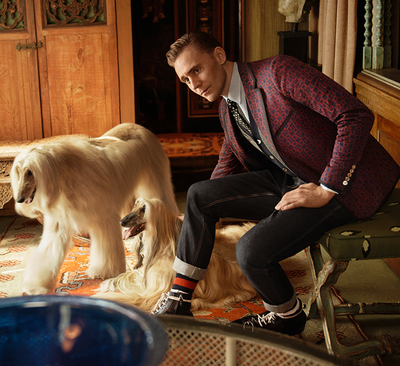 Men in Style: Том Хиддлстон в рекламной кампании Gucci