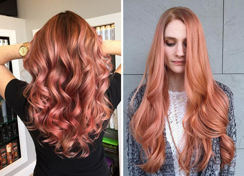 Hair & Style: добавим цвета! Окрашивание «розе»