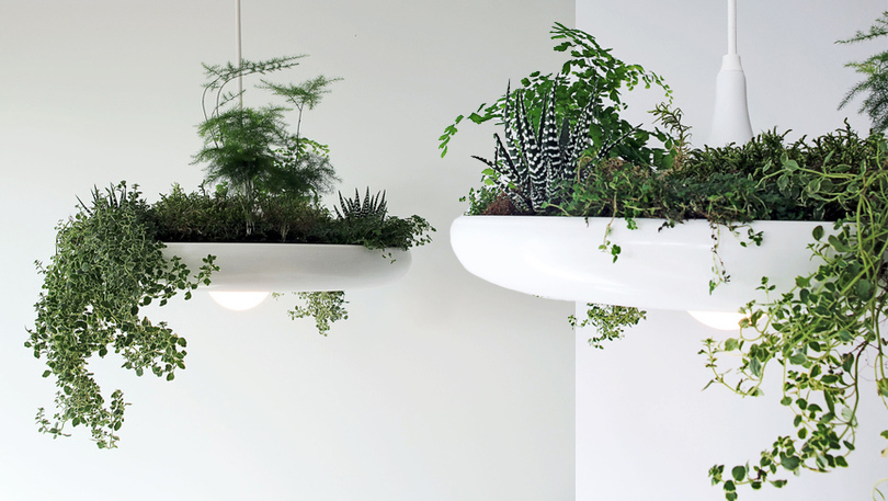 Дизайн & Декор: зимний сад — 5 необычных способов вписать растения в интерьер