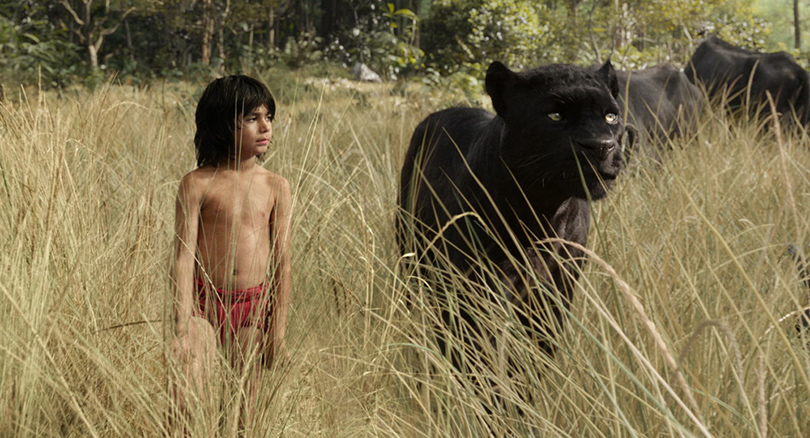 Маугли отправляется в увлекательное путешествие вместе со строгим наставником — пантерой Багирой 