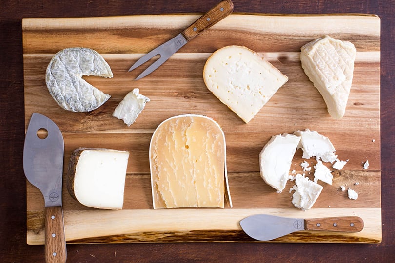 Досье: козий сыр — где покупать, как выбирать и где пробовать