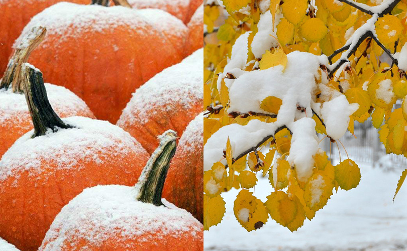 World Travel с Татьяной Шевченко: оранжевое настроение в серую погоду, или Тыквы под снегом — это круче, чем апельсины на снегу