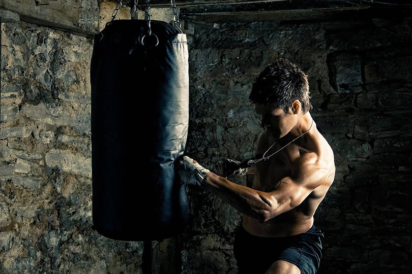 Фитнес с Алексеем Василенко: бокс — тренировки для силы духа и тела