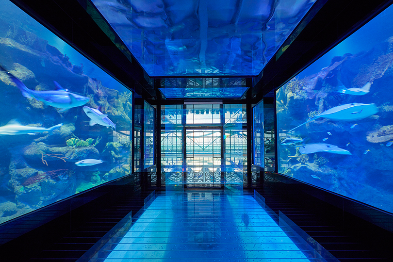 Куда поехать на майские: магнитный песок, уникальный аквариум и бесплатная ночь в Paragraph Resort & Spa Shekvetili под Батуми