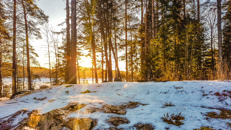 Cars with Jan Coomans. Audi Winter experience: taming a frozen lake with the Audi Q7